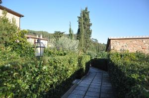 リパルベッラにあるMonolocale con piscina S.Martinoの通灯と生垣のある庭