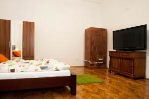 a living room with a bed and a flat screen tv at Ariel Studio Close to St. Stephen Basilica in Budapest