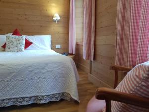 - une chambre avec un lit et une chaise dans l'établissement Hotel Pedretti, à Branzi