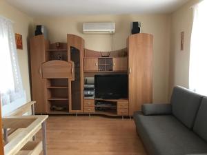 TV a/nebo společenská místnost v ubytování Panoráma Apartman