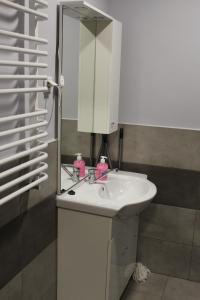 Kúpeľňa v ubytovaní Apartamenty u Bodzia