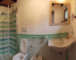 bagno con lavandino, servizi igienici e specchio di Agriturismo Cento Ducati a Palombara Sabina