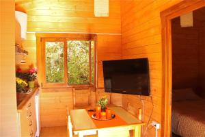 Televízia a/alebo spoločenská miestnosť v ubytovaní Camping Ripolles