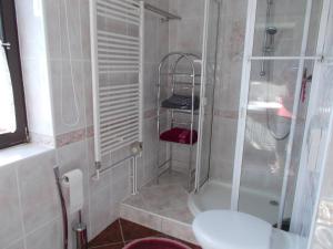 ein Bad mit einer Dusche, einem WC und einem Waschbecken in der Unterkunft Ferienwohnung Hoffmann in Rathmannsdorf
