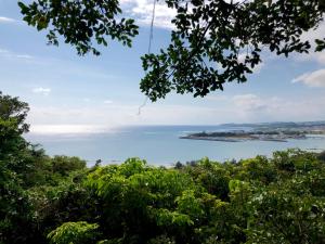 a view of the ocean from a tree at Kaiza in Nanjo