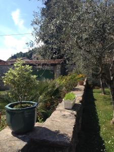Ogród w obiekcie Casa Angela