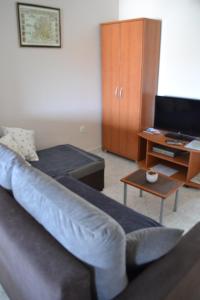 TV a/nebo společenská místnost v ubytování Apartments Lera