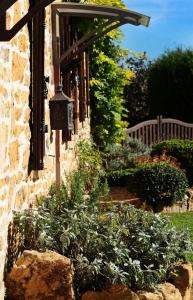 a garden in the side of a building with a plant at Momella House in Colméry