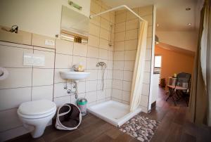 Koupelna v ubytování Apartments Soča + 28 fotografií