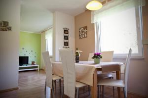 TV a/nebo společenská místnost v ubytování Apartments Soča