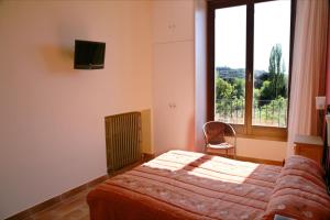 a bedroom with a bed and a tv and a window at Hostal La Fuente in Buera