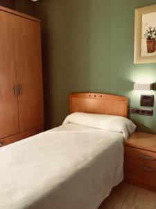 Postel nebo postele na pokoji v ubytování Hostal Meseguer