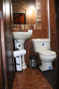 グアランダにあるLa Rustica Hotelの洗面台とトイレ付きのバスルーム