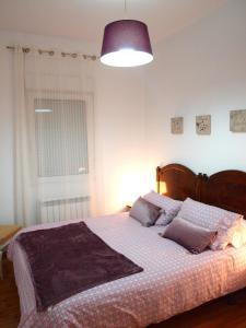 een slaapkamer met een groot bed en een paarse lamp bij Piso Madrazo in León