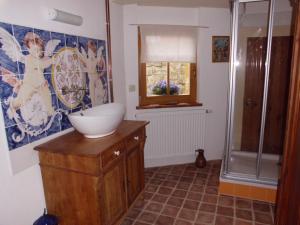 a bathroom with a sink and a shower at Ferien im Denkmal an der Elbe in Stadt Wehlen +22 photos