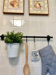 a kitchen counter with a plant and a wooden spoon at Playa Paraiso Elisabeth in Costa Calma