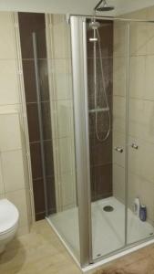 Fotografie z fotogalerie ubytování Apartmán vinaře / At Winemaker's v destinaci Rohatec