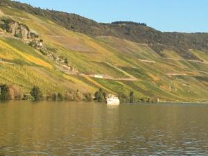 a boat on a lake next to a hill at Ferienwohnung Mosel in Bernkastel-Kues