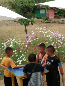 a group of boys standing around a table with an umbrella at Mong Homestay Resort in Pang Ung