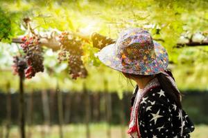 a woman in a hat is picking grapes from a tree at Mong Homestay Resort in Pang Ung