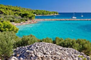 a view of a beach with blue water and trees at Apartman JADRANKO Murter in a quiet environment near the center and the beach in Murter