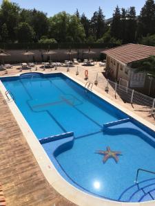 a large swimming pool with a starfish in the middle at Cuatro Caminos in Piedrabuena