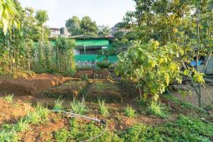 a garden in front of a house with a hose at Tea Hills Bungalow in Hatton