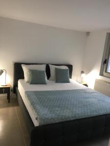 1 dormitorio con 1 cama grande y 2 almohadas en La Chênaie, en Mouans-Sartoux
