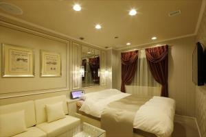 TV a/nebo společenská místnost v ubytování Hotel Waltz Okazaki (Adult Only)