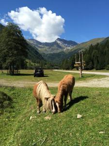 Φωτογραφία από το άλμπουμ του Villa Talheim σε Mallnitz