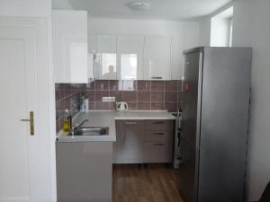 Kuchyň nebo kuchyňský kout v ubytování Apartman u Vila Tugenhart