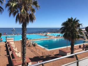 una piscina con l'oceano sullo sfondo di Green Point Self Catering Studios a Città del Capo
