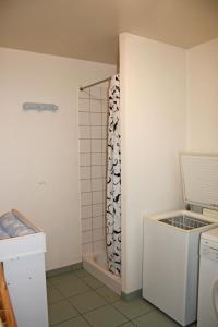 Cette chambre comprend une petite salle de bains pourvue d'une douche. dans l'établissement Gîte de la Grande Fontaine, à Isches