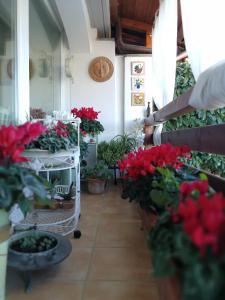 una habitación llena de plantas y flores en casa di amici, en Campagnano di Roma