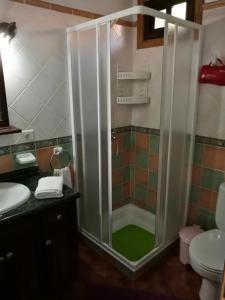 La salle de bains est pourvue d'une douche et d'un sol vert. dans l'établissement Casa Bienes, à Fuencaliente de la Palma