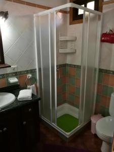 baño con ducha y suelo verde en Casa Bienes, en Fuencaliente de la Palma