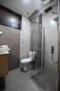 a bathroom with a toilet and a glass shower at Dvori Apartments 8C in Kopaonik +23 photos