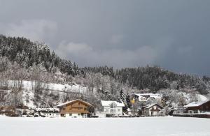 a group of houses in a snow covered village at Gästeappartement Erlbacher Richard in Schladming