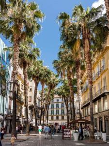 ulica miejska z palmami i budynkami w obiekcie NATURA SUITE MÁLAGA w Maladze
