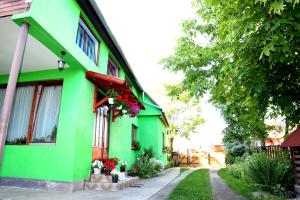 a green house with flowers on the side of it at Csergő Ildikó vendégház in Lăzarea