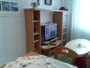 TV a/nebo společenská místnost v ubytování Apartmá Ježková