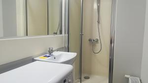 a bathroom with a sink and a shower at Varnu Apartment in Rīga +26 photos
