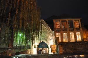 迪南的住宿－劇院餐廳酒店，一座在晚上有树的建筑