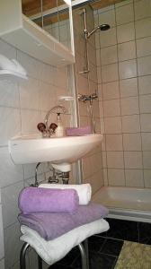 bagno con lavandino e asciugamani viola di Haus Rosi a Sankt Leonhard im Pitztal Altre 34 foto