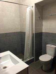 a bathroom with a toilet and a shower and a sink at Inka home in Borjomi +8 photos