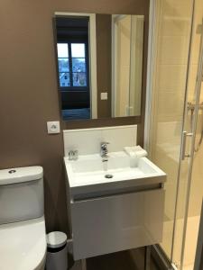 La salle de bains est pourvue d'un lavabo, de toilettes et d'un miroir. dans l'établissement Lamarck Guest, à Bourges