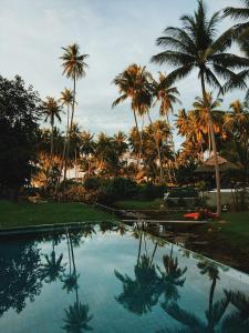 Kolam renang di atau di dekat Le Motu