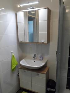 een badkamer met een wastafel en een spiegel bij Dalija apartman in Zagreb