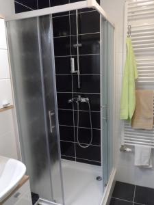 a shower with a glass door in a bathroom at Dalija apartman in Zagreb