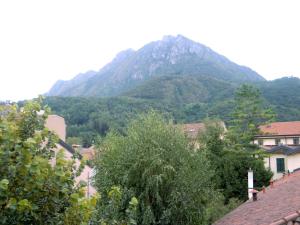 a mountain in the distance with houses and trees at La nostra casa in centro in Lecco